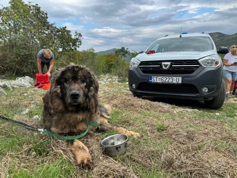 HGSS-ovci spasili psa iz jame duboke četrdeset metara
