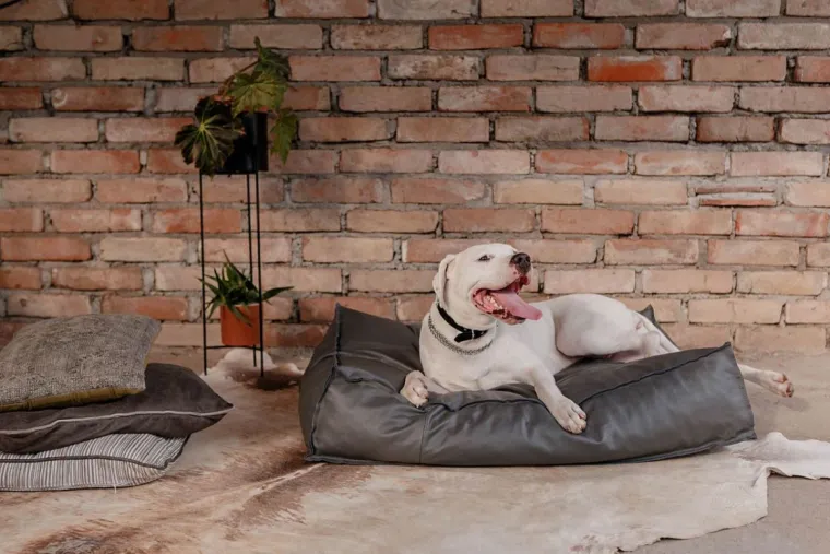 Nova kreativna imena na sedmom izdanju InDizajn sajma