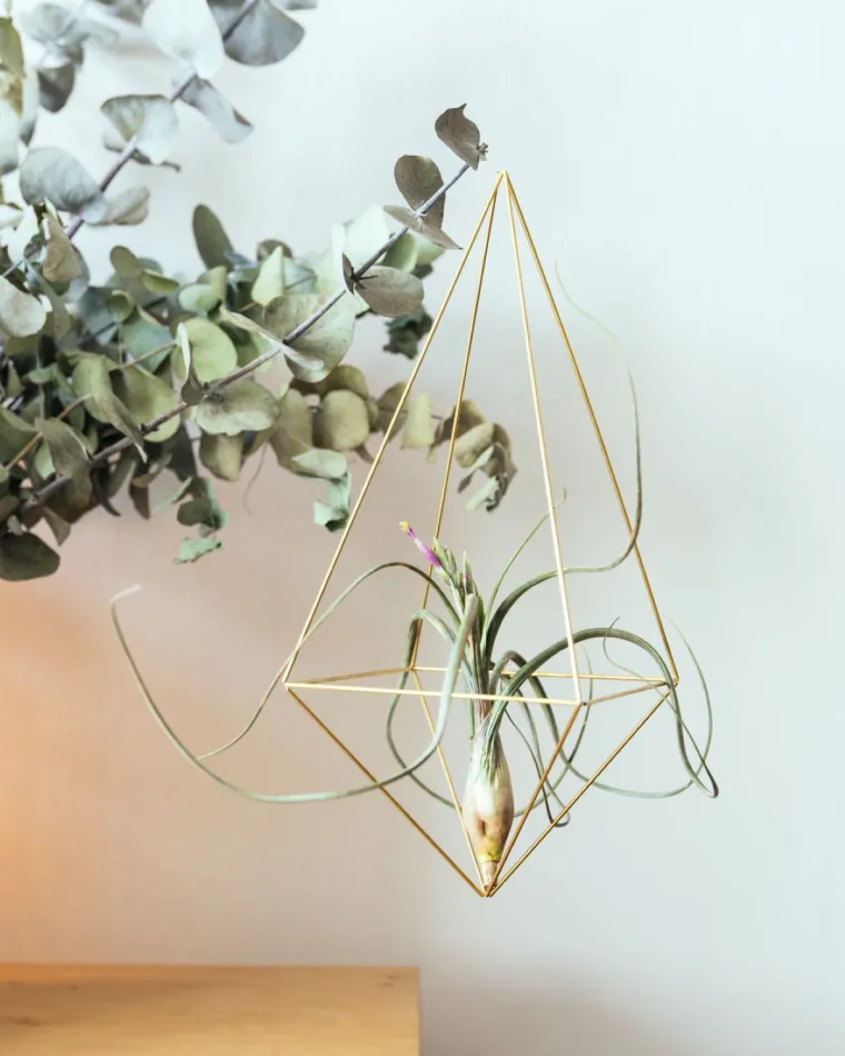 Nova kreativna imena na sedmom izdanju InDizajn sajma