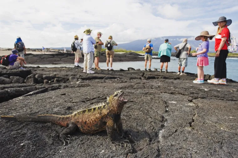 17. Otočje Galapagos, Ekvador: Otočje Galapagos privlači mno&scaron;tvo turista zbog očaravajuće pustinjske ljepote, rijetke biolo&scaron;ke raznolikosti, golemih morskih kornjača i razigranih morskih lavova. Raspr&scaron;en duž Tihog oceana, u blizini zapadne obale Ekvadora, ovaj veličanstveni arhipelag vulkanskih otoka globalno je poznat po svojim idiličnim plažama, surovim vulkanima, gomilama lave i neustra&scaron;ivim divljim životinjama. Otoci su živi laboratorij prirodnih čuda i nadahnuli su slavnu teoriju evolucije Charlesa Darwina 1859. godine. Sve do 1535. godine svijet nije ni&scaron;ta znao o njima. Bez utjecaja ljudi, otočna flora i fauna cvjetale su tisućama godina, evoluirajući u jedinstvene vrste kakve nema nigdje drugdje na planetu.