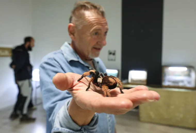 Imate li hrabrosti kao ona? Ovo je izložba 70 tarantula i insekata, možete ju posjetiti u Zagrebu