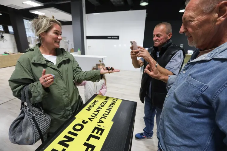 Imate li hrabrosti kao ona? Ovo je izložba 70 tarantula i insekata, možete ju posjetiti u Zagrebu