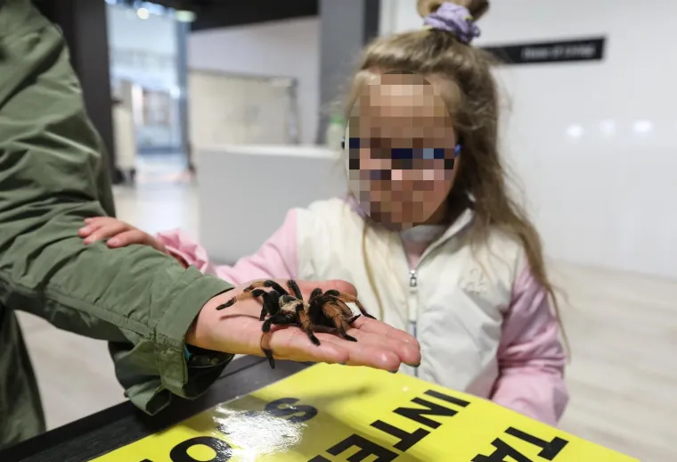 Imate li hrabrosti kao ona? Ovo je izložba 70 tarantula i insekata, možete ju posjetiti u Zagrebu