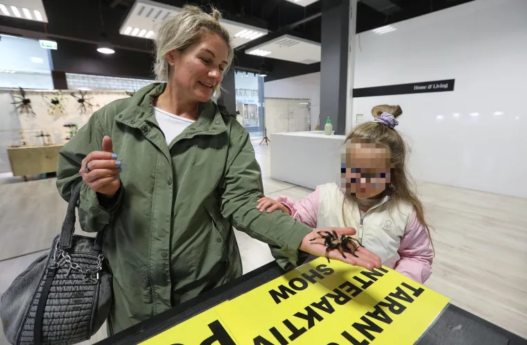 Imate li hrabrosti kao ona? Ovo je izložba 70 tarantula i insekata, možete ju posjetiti u Zagrebu