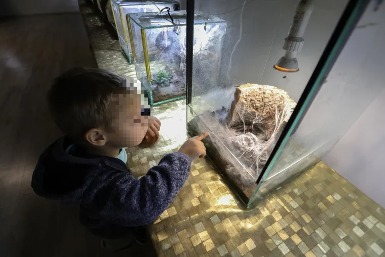 Imate li hrabrosti kao ona? Ovo je izložba 70 tarantula i insekata, možete ju posjetiti u Zagrebu