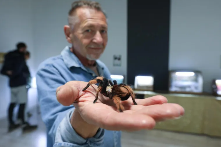 Imate li hrabrosti kao ona? Ovo je izložba 70 tarantula i insekata, možete ju posjetiti u Zagrebu
