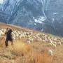Stanovništvo u Sil&apos;di se bavi poljoprivredom i uzgojem koza i ovaca, a u selo mjesečno dolaze kamione koji dostavlja namirnice za život. No, upravo ta surovost i izoliranost sela i dagestanskih planina, nudi i bolju fokusiranost i posvećenost treninzima.