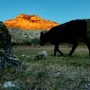 Ovdje se kuje nevjerojatna snaga i nastaju najjači borci na svijetu: 'Čeličiš se i dobivaš nepokolebljiv duh'