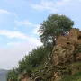 Ovdje se kuje nevjerojatna snaga i nastaju najjači borci na svijetu: 'Čeličiš se i dobivaš nepokolebljiv duh'