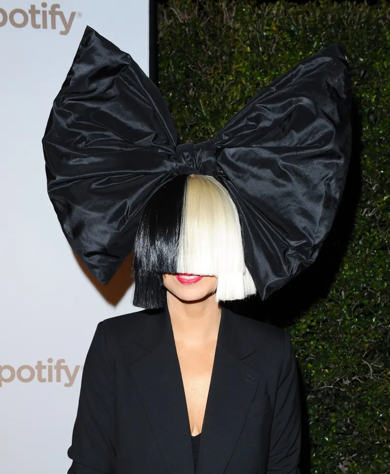 Naime, njezina odluka da perikom sakrije lice dolazi iz želje za anonimnošću i održavanjem mentalnog zdravlja, nakon što je prošla kroz teške osobne bitke, uključujući borbu s ovisnostima​.