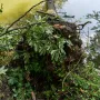 Apokaliptični prizori u Jablanici: 'Više nema preživjelih. Sada tragamo za tijelima'