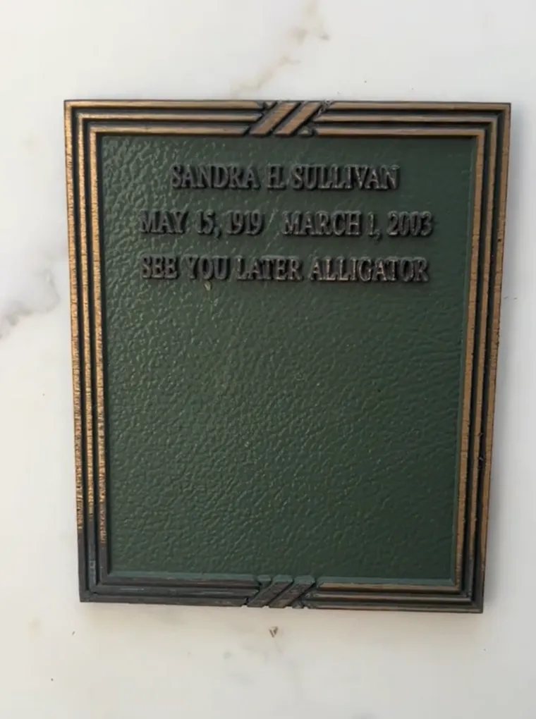 "Vidimo se kasnije, aligatore"