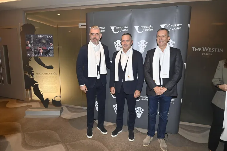 Tehnički diretkor reprezentacije, Stipe Pletikosa 