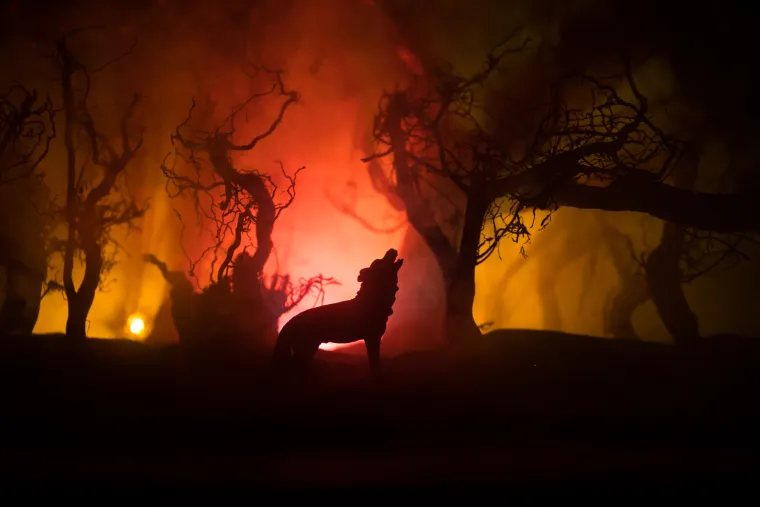 U nekim legendama, potpuno spaljivanje tijela vukodlaka je jedini način da se on zaista uništi i spriječi njegovo oživljavanje. Ovo vjerovanje dijeli sličnosti s mitovima o vampirima i zombijima.

Vatra također ima simboličko značenje pročišćenja, pa se smatra da može &quot;spaliti&quot; prokletstvo vukodlaka. U praktičnom smislu, baklje ili zapaljene strijele mogu biti korisno oružje za držanje vukodlaka na distanci.