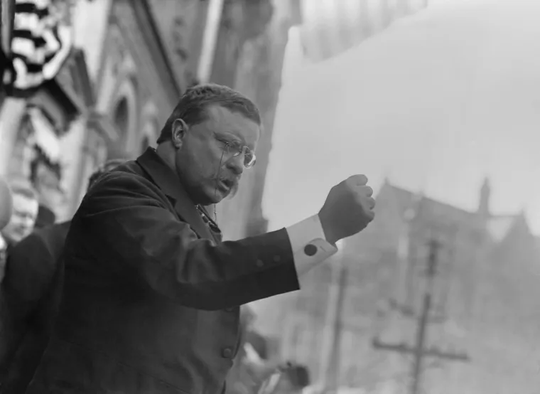 
26. Naslijedio ga je Theodore Roosevelt koji je bio predsjednik od 14. ožujka 1901. godine do 4. ožujka 1909. godine. 