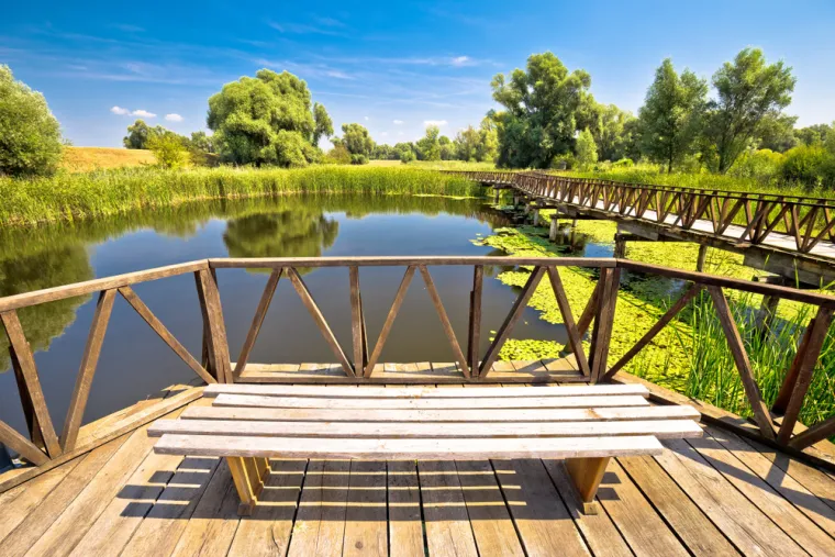 6. Park prirode Kopački rit: Jesen je vrijeme migracije ptica, a park prirode Kopački rit jedno je od najboljih mjesta za promatranje ovog prirodnog fenomena. Možete uživati u vožnji čamcem kroz močvarna područja i promatrati divlje životinje. Priroda u Kopačkom ritu nudi savršenu priliku za opuštanje.