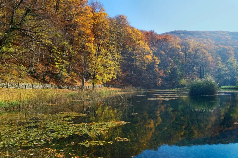 12. Park prirode Papuk: Park prirode Papuk, s brojnim planinskim stazama i slapovima, savršena je destinacija za ljubitelje prirode. Jesenski šareni krajolici čine ga još privlačnijim za planinarenje i biciklizam. Istražite Geopark Papuk, dio UNESCO-ove globalne mreže geoparkova.