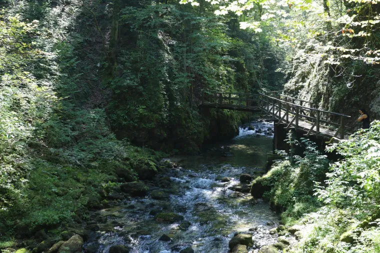 15. Kanjon Kamačnik: Kanjon Kamačnik, smješten nedaleko od Vrbovskog, prava je prirodna oaza sa stazama uz bistru rijeku. Šetnja kroz kanjon u jesenskom razdoblju pruža predivan pogled na zlatno lišće i kristalno čistu vodu. Staza je lako dostupna, a pejzaži idealni za fotografiranje.