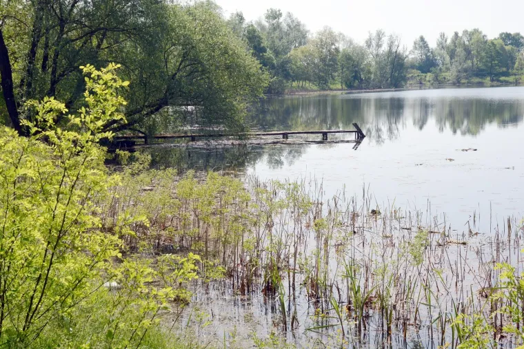 20. Lonjsko polje:  Ovo prostrano močvarno područje idealno je za ljubitelje prirode, posebno u jesen kada su staze suhe, a ptice selice dolaze na svoja zimovali&scaron;ta. Vožnja biciklom kroz Lonjsko polje pruža savr&scaron;en način za istraživanje ovog za&scaron;tićenog područja. Posjetite tradicijska sela i drvene kuće iz pro&scaron;lih stoljeća.