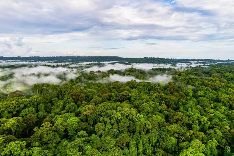 Prema riječima ribara, članovi plemena ubili su ga strijelama i zakopali njegovo tijelo na obali. Unatoč naporima indijskih vlasti, Johnovo tijelo nikada nije pronađeno, a sedam osoba, uključujući ribara, uhvaćeno je zbog pružanja pomoći.