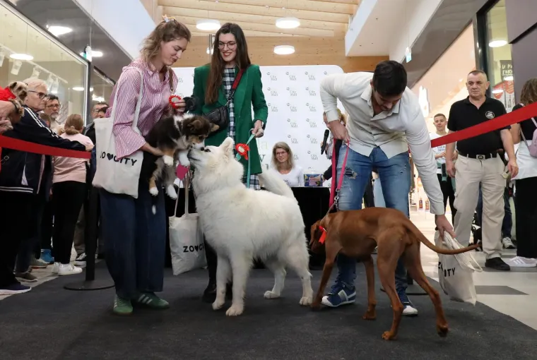 Preslatke nju&scaron;kice bile su posvuda.