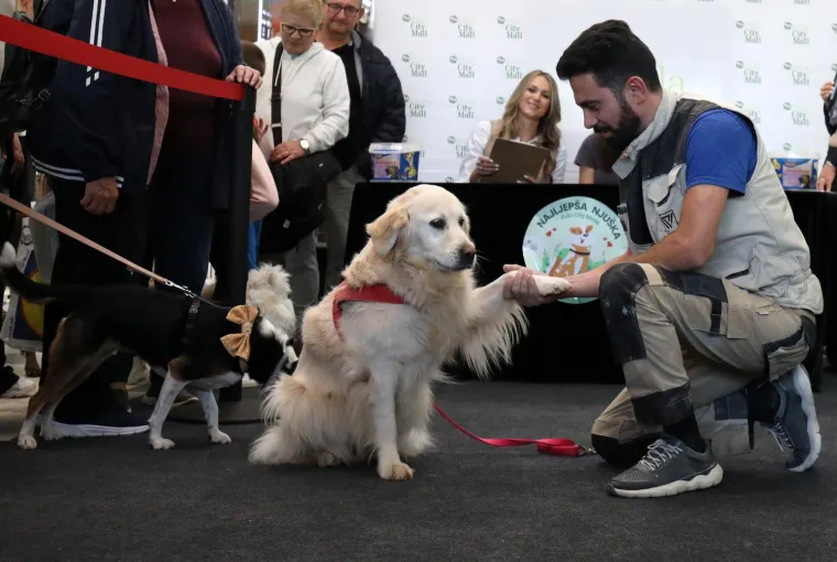 Nema koje pasmine nije bilo tamo. Pula je odabrala najljep&scaron;u nju&scaron;ku