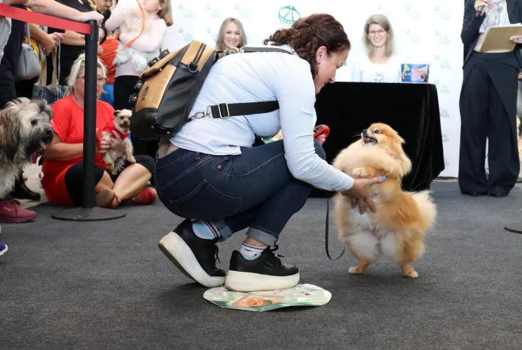 Nema koje pasmine nije bilo tamo. Pula je odabrala najljep&scaron;u nju&scaron;ku