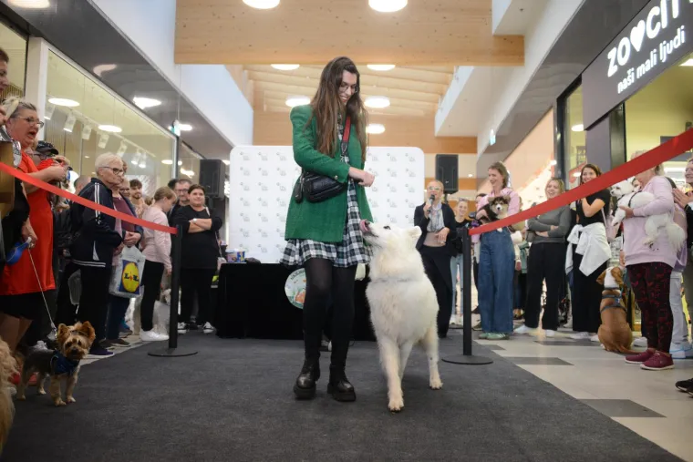 Nema koje pasmine nije bilo tamo. Pula je odabrala najljep&scaron;u nju&scaron;ku