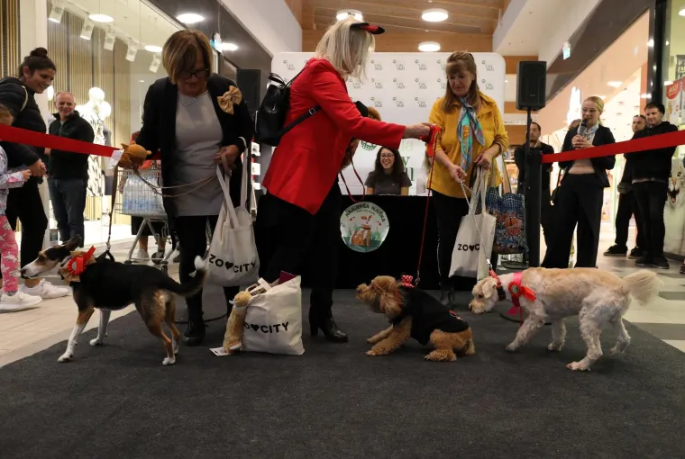 Nema koje pasmine nije bilo tamo. Pula je odabrala najljep&scaron;u nju&scaron;ku