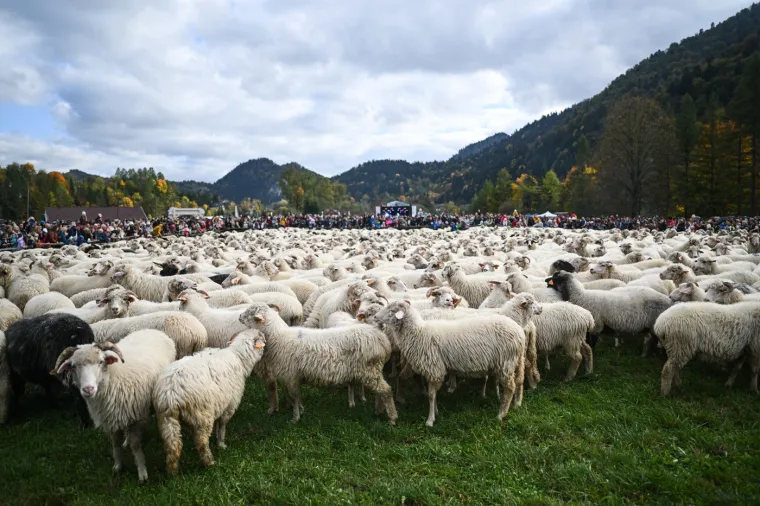 Djeluju kao zrna riže, a ustvari je nešto potpuno drugo. Možete li prepoznati o čemu je riječ?