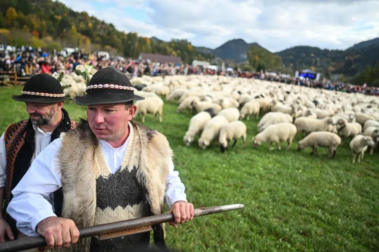 Djeluju kao zrna riže, a ustvari je nešto potpuno drugo. Možete li prepoznati o čemu je riječ?