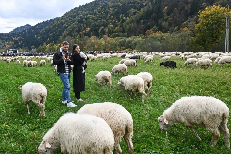 Djeluju kao zrna riže, a ustvari je nešto potpuno drugo. Možete li prepoznati o čemu je riječ?