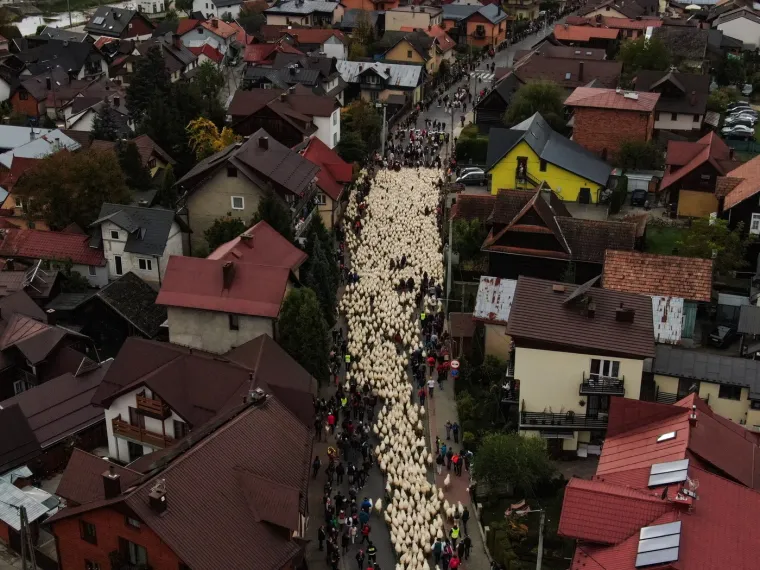 Djeluju kao zrna riže, a ustvari je nešto potpuno drugo. Možete li prepoznati o čemu je riječ?