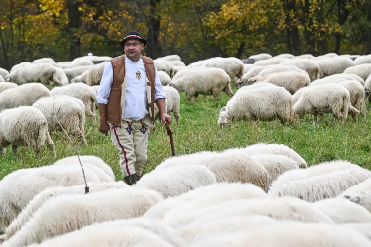 Djeluju kao zrna riže, a ustvari je nešto potpuno drugo. Možete li prepoznati o čemu je riječ?
