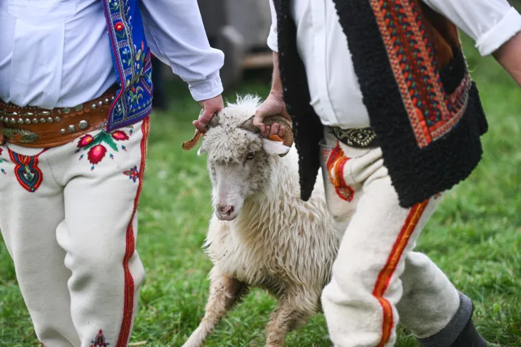 Djeluju kao zrna riže, a ustvari je ne&scaron;to potpuno drugo. Možete li prepoznati o čemu je riječ?
