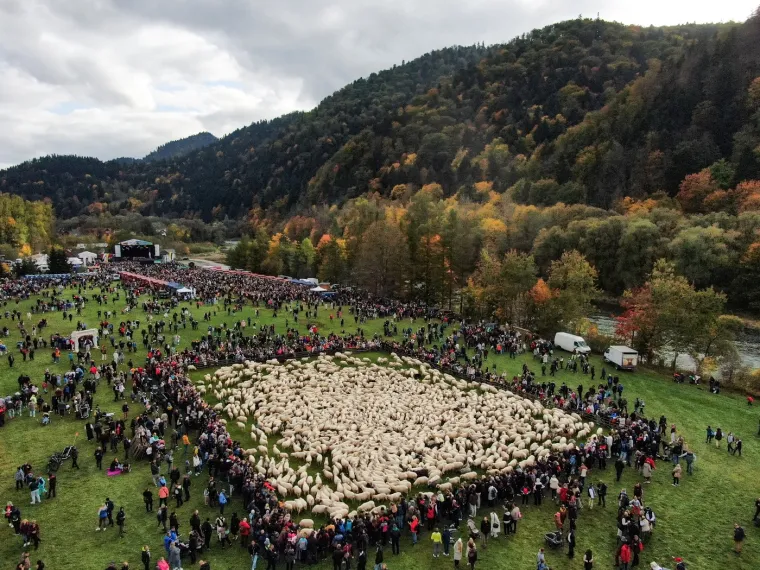 Djeluju kao zrna riže, a ustvari je ne&scaron;to potpuno drugo. Možete li prepoznati o čemu je riječ?