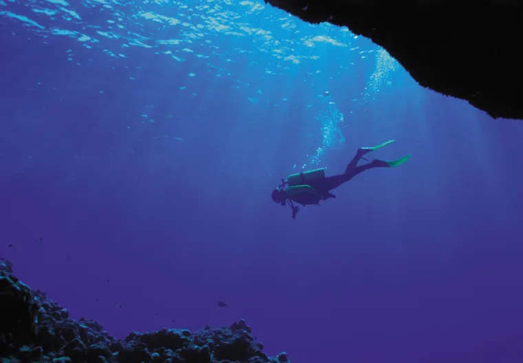 Plaća može varirati, ali obično uključuje osnovnu plaću plus napojnice, &scaron;to može iznositi oko 40.000 &euro; godi&scaron;nje.