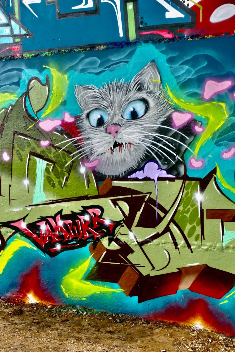 Ovdje su ulične priče ispričane u stotinama boja i svaka je remek-djelo koje osvaja oči