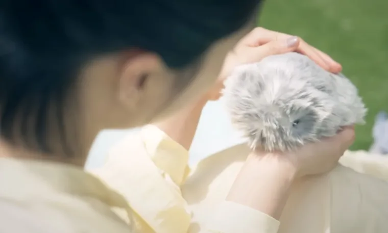 Biste li usvojili moflina? Kažu da su ti mali slatki čupavci idealno dru&scaron;tvo za usamljene