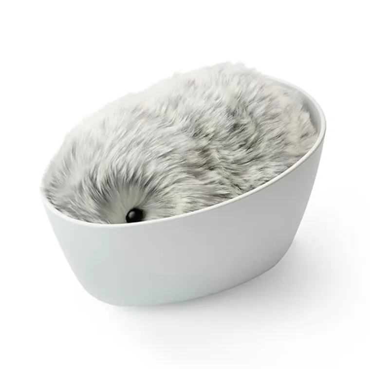 Biste li usvojili moflina? Kažu da su ti mali slatki čupavci idealno dru&scaron;tvo za usamljene