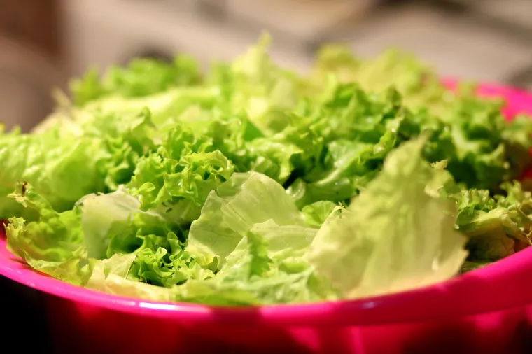17. Zelena salata - Kad se ona zamrzne, postane kašasta. Naime, salata je uglavnom sačinjena od vode, a proces odmrzavanja negativno utječe na nju.