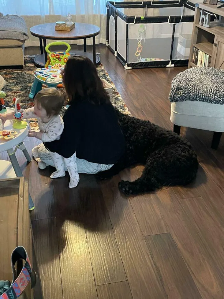 Gospodična, odlična vam je frizura. 