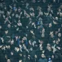 Nenad Bjelica se ukazao u Salzburgu, provjerite s kim gleda utakmicu