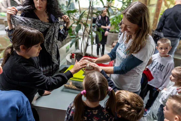 Usudite li se pogledati? Zmije, gušteri, krokodili zavladali Osijekom