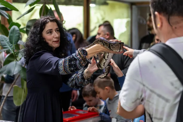Usudite li se pogledati? Zmije, gušteri, krokodili zavladali Osijekom