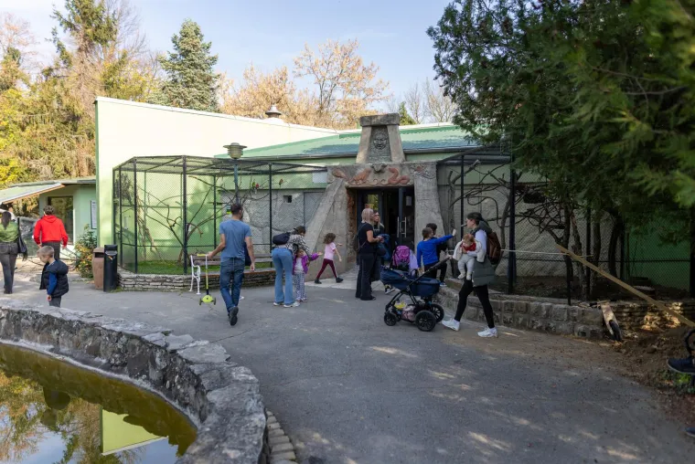 Usudite li se pogledati? Zmije, gušteri, krokodili zavladali Osijekom