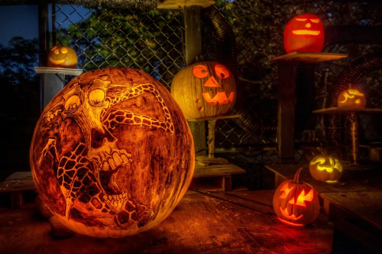 Halloween kakav danas poznajemo počeo se oblikovati u 19. stoljeću, kada su irski imigranti donijeli svoje tradicije u Sjedinjene Američke Države.