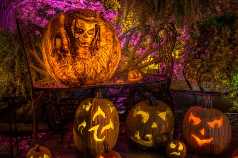 Svake godine u ovo doba, brojne ulice i domove krase razne rezbarene i ukra&scaron;ene bundeve koje se od jednostavne tikve pretvaraju u prava umjetnička djela. 