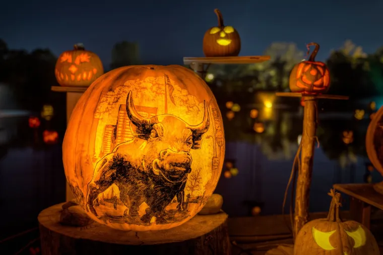 Mnogi umjetnici i kreativci koriste različite tehnike i alate kako bi od bundeve stvorili pravo umjetničko dijelo.