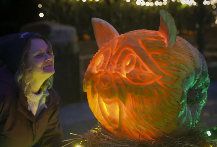 Unatoč njegovoj popularnosti, Halloween je ponekad izvor kontroverzi.